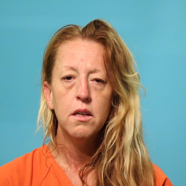 JOHNSON, MELISSA booking photo