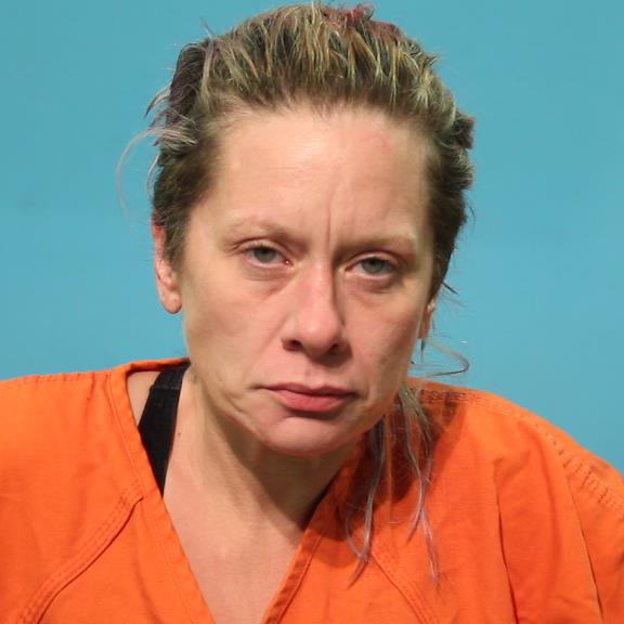 Mclean, Shannon Michelle booking photo