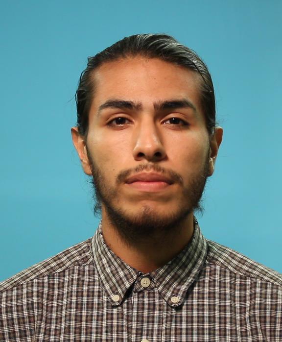 Noyola Tonche, David Yael booking photo
