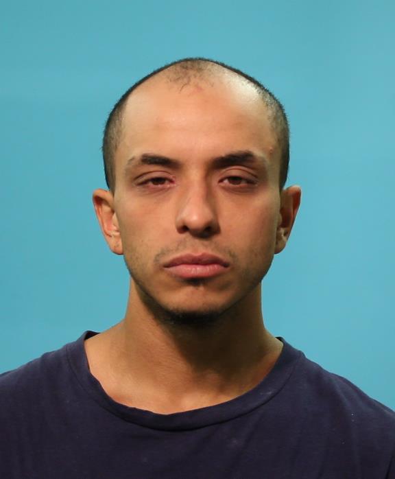 Solis, Steven Tyler booking photo