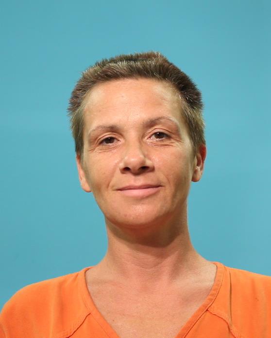 Stout, Tina booking photo