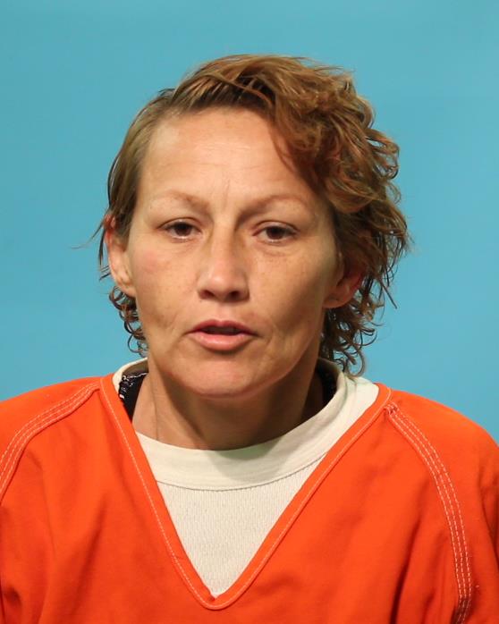 Hoskins, Caryn Lynea booking photo