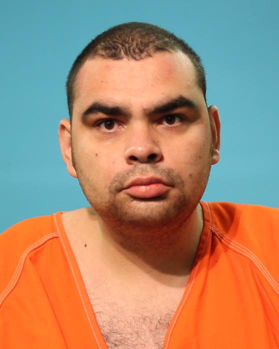 VENNE, PALMER booking photo