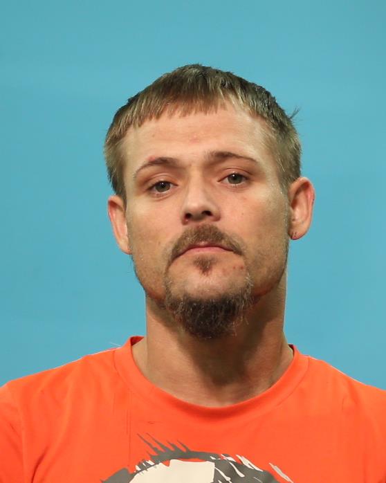 Wallace, Dannie Lee booking photo