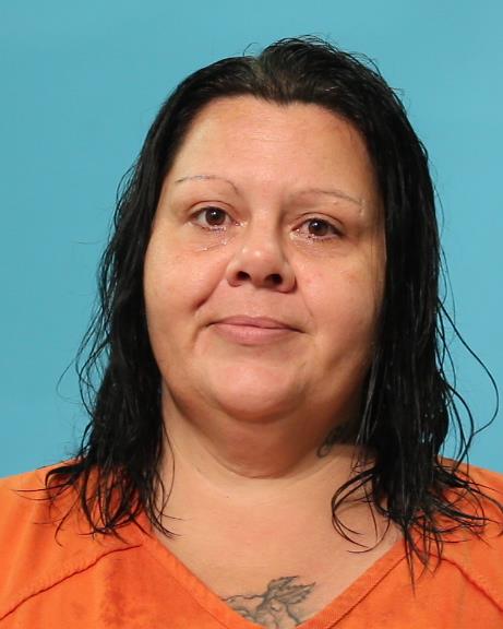 Meshell, Dorothy Elaine booking photo