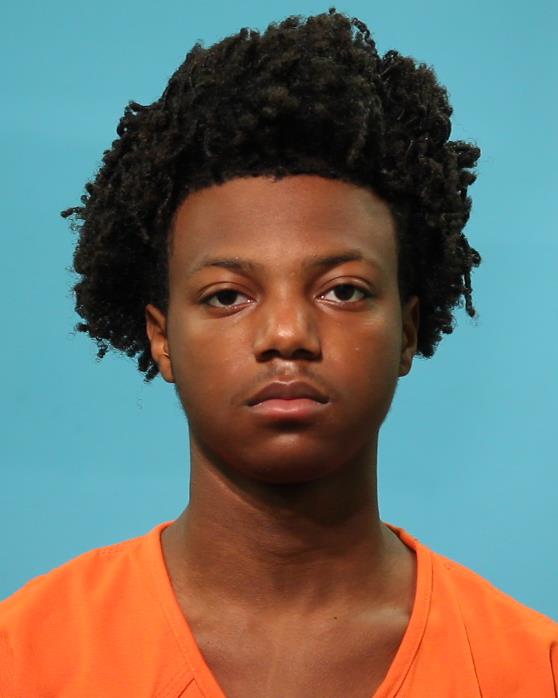 HOPKINS, WISDOM arrested by Brazoria County SO/PD