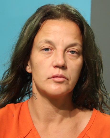 WILLIAMSON, AMANDA LYNN booking photo