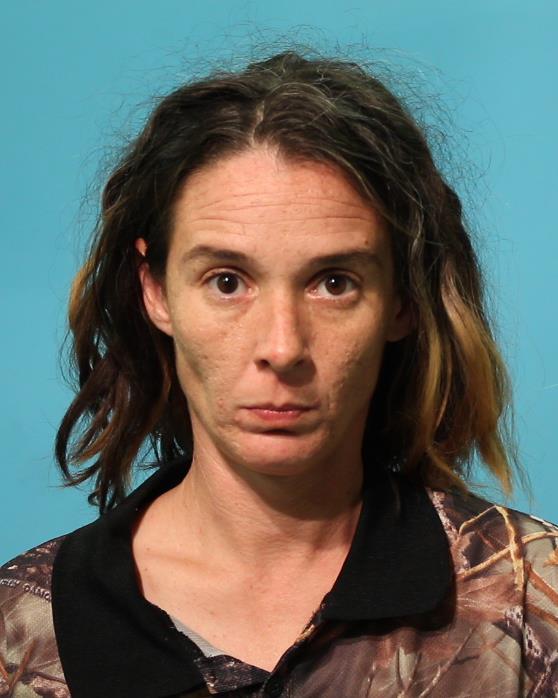 Vasut, Ashley Brooke booking photo