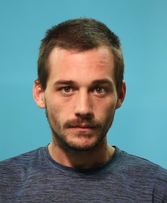 GREEN, BRANDON LEE booking photo