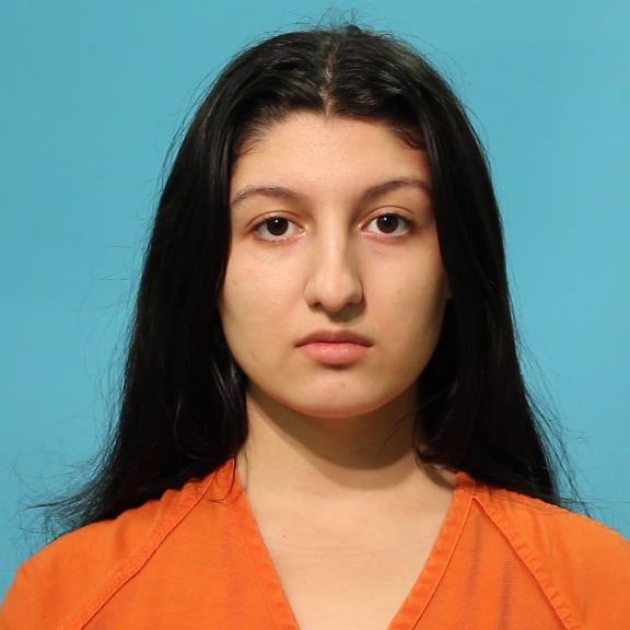 Iordache, Gesica booking photo