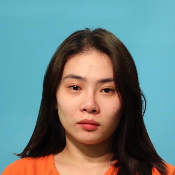 HO, KIM THANH THUY booking photo