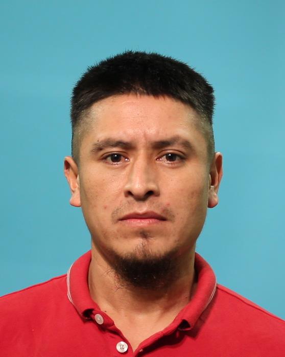 Andrade-Colohua, Pedro Fidel booking photo