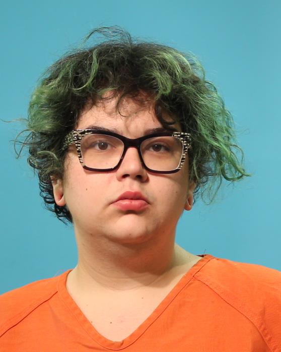 JONES, RAYNE MARIE booking photo