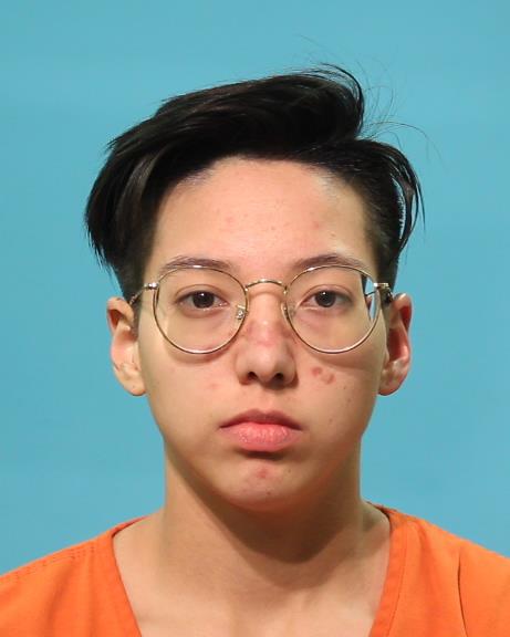 JOHNSON, VICTORIA booking photo