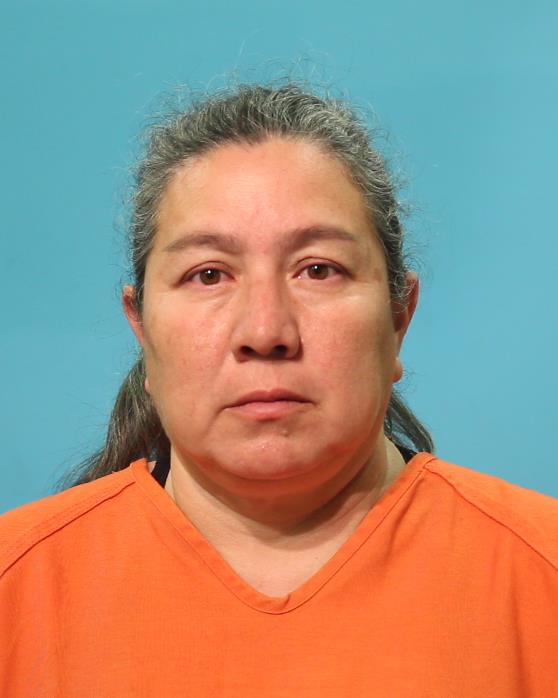 HOLLINGSWORTH, LISA R arrested by Brazoria County SO/PD