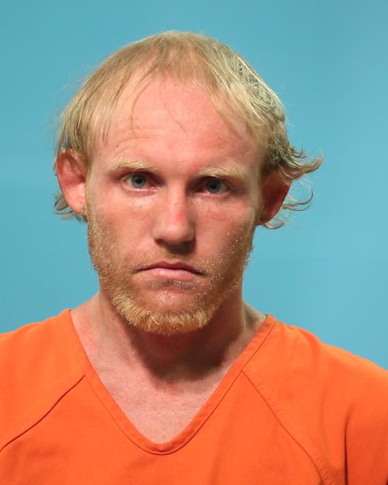 HUDSON, DAVID COLE booking photo