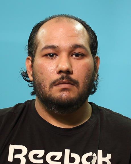 Milanovich, Adam Perry booking photo