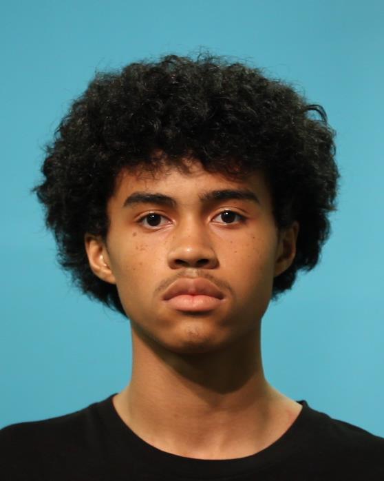 HARMON, LEJAND D booking photo