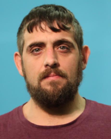 MITCHELL, ARON ROSS booking photo