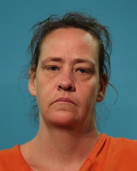 Ansley, Samantha Joanne booking photo