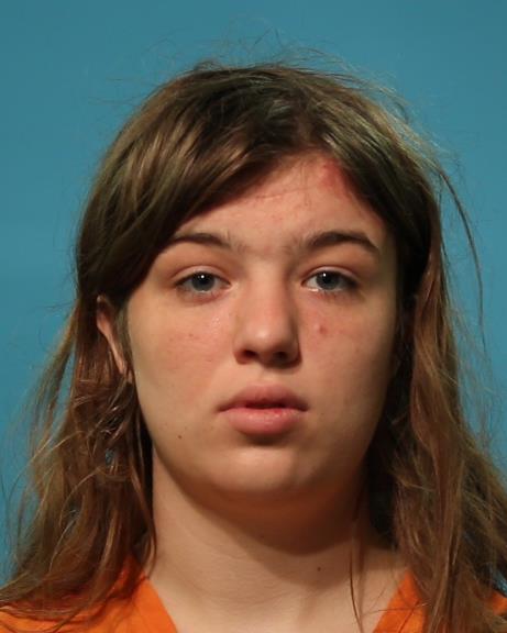 POLLACK, BRITNEY JENNA booking photo