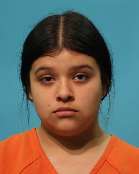 AVILA, LYZA YVETTE booking photo