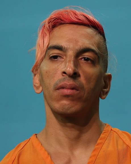 Cobas, Damian Reina booking photo