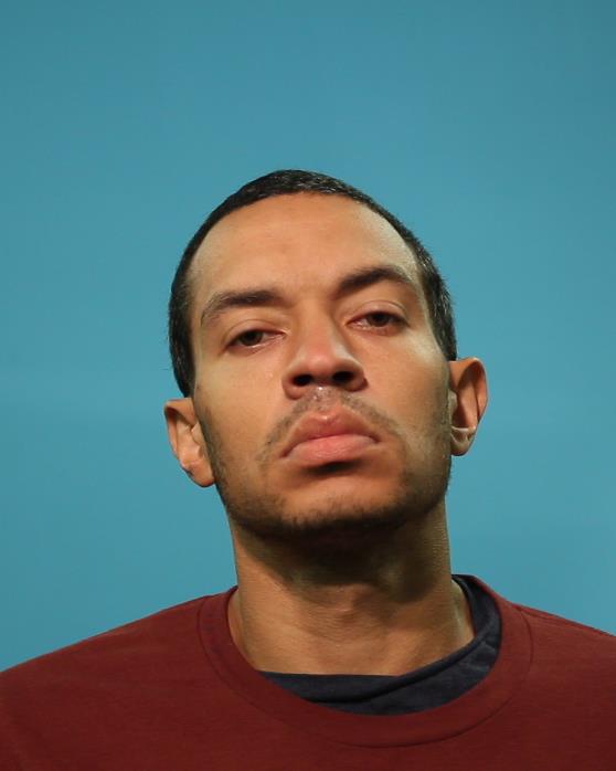 PEARSON, RONNIE PAUL arrested by Brazoria County SO/PD