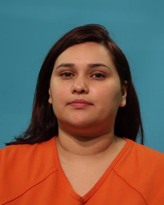 MEDELLIN, VANESSA ANN booking photo