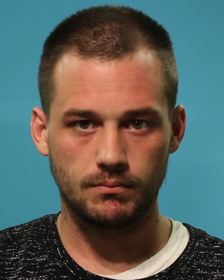 Green, Brandon Lee booking photo