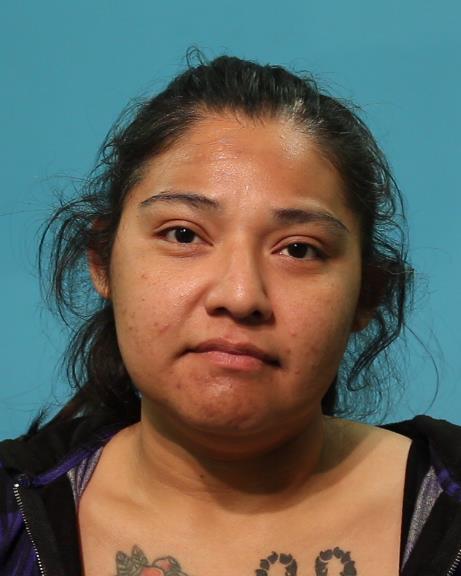 VASQUEZ, LORENA ELIZABETH booking photo