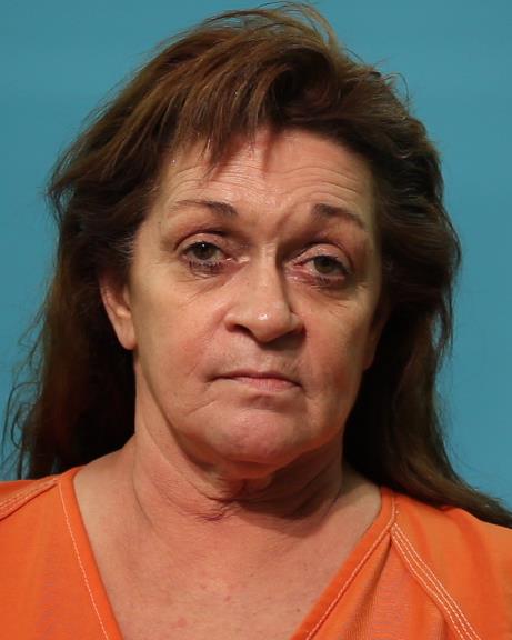 Theis, Dana Hollis booking photo