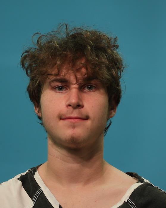 Reynolds, Blake booking photo