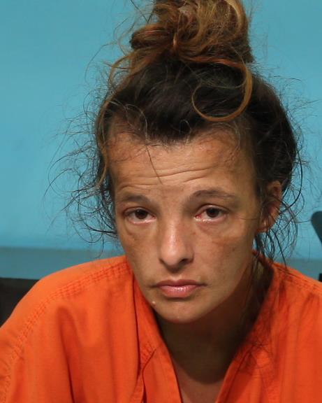 Ward-Gay, Brandi Shawn arrested by Brazoria County SO/PD