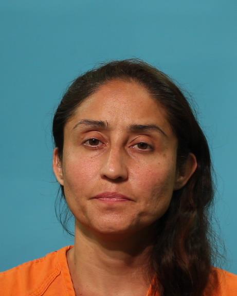 HINOJOSA, CONSTANCE booking photo