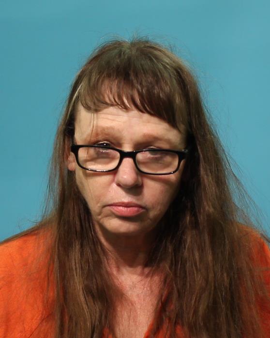 Sevier, Tonya Lynn booking photo