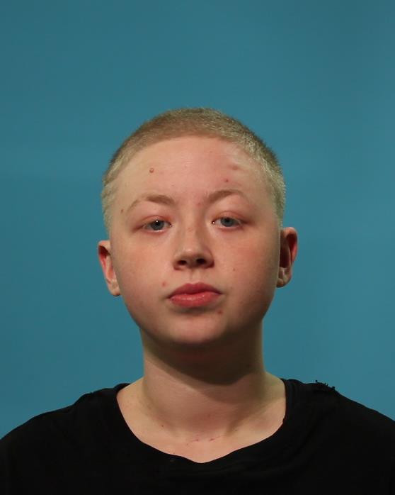 Sharpe, Lauren Elizabeth booking photo