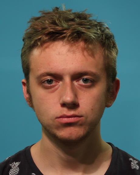 Slone, Tyler Austin booking photo