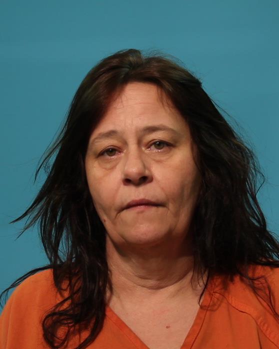 VINING, TONYA KAY booking photo