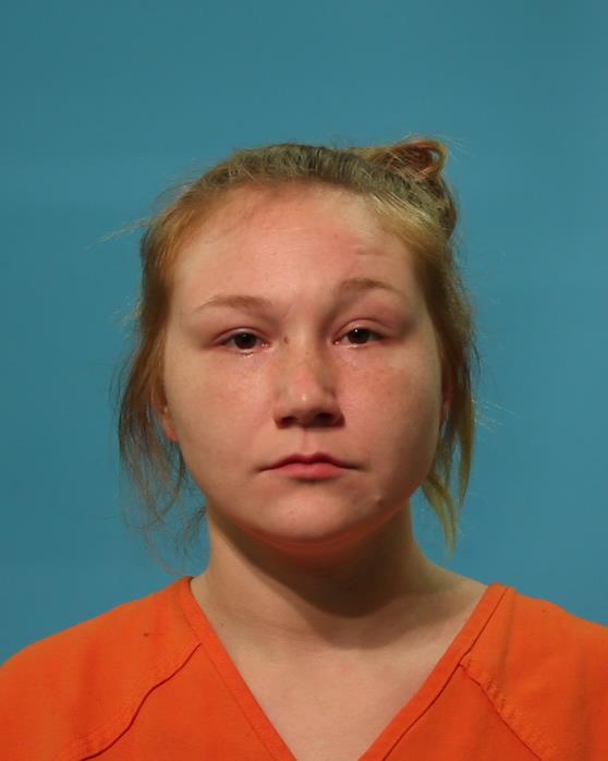 FINE, MEREDITH LEEANN booking photo