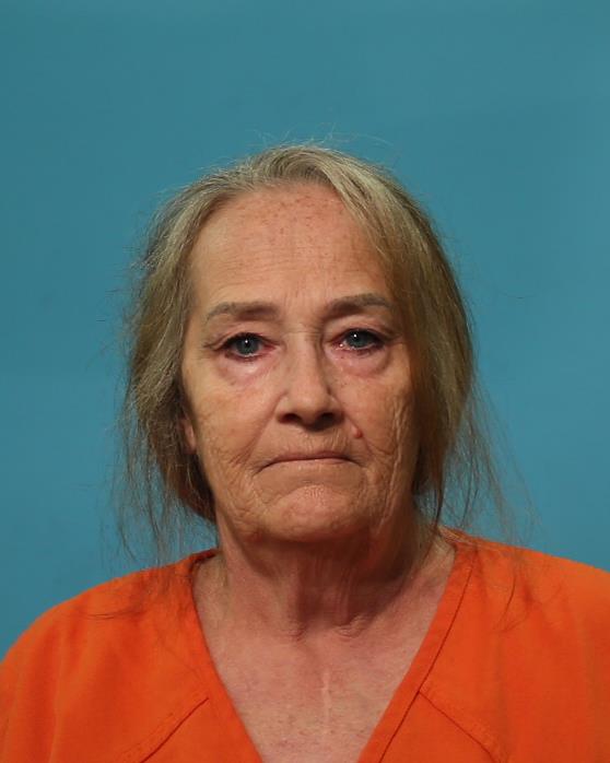 VIKTORIN, SANDRA booking photo