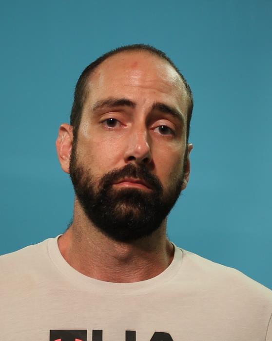 VERZWYVELT, GAVIN WADE booking photo