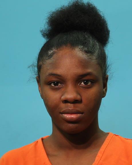 Hollins, Tammy Lynn booking photo