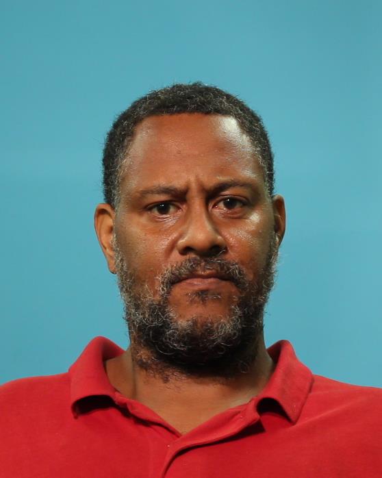 JOHNSON, WAYNE booking photo