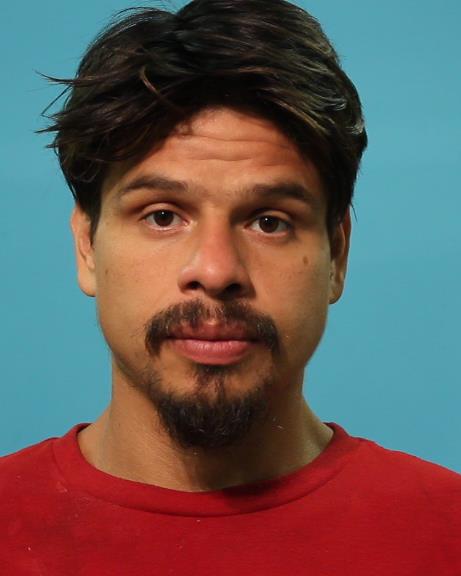Perez, Simon booking photo