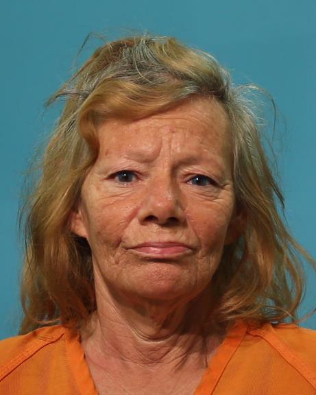 Georgantonis, Lisa Ann arrested by Brazoria County SO/PD