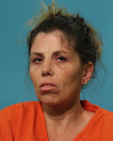 WILLIAMS, MICHELLE LYNN arrested by Brazoria County SO/PD