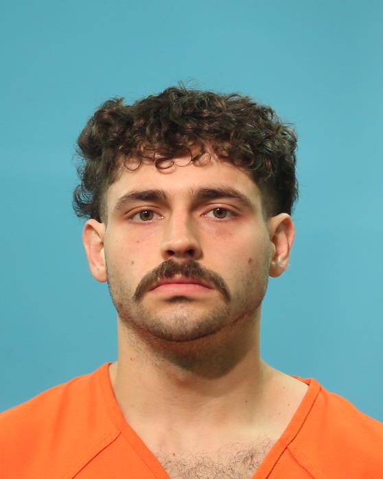 BASSINI, STEFANO booking photo