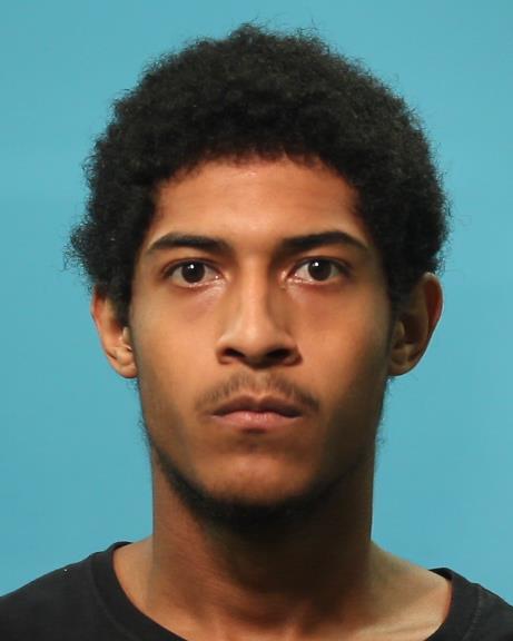 BROWN, DIMITRI LEE booking photo