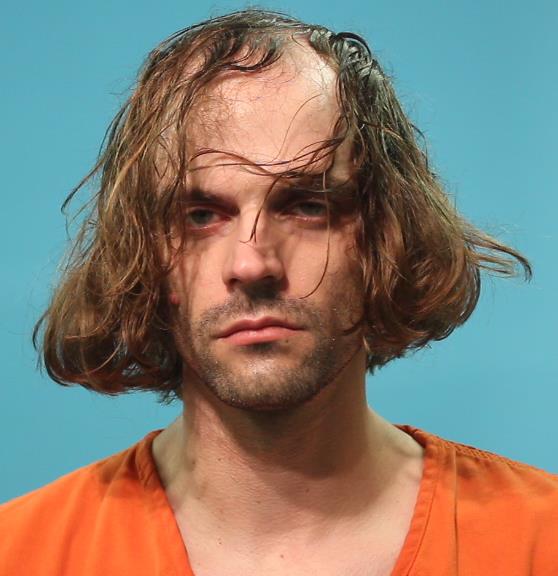 Willis, Milan Roy booking photo